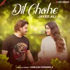 About Dil Chahe Song