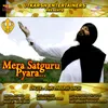 About Mera Satguru Pyara Song