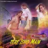 About Tere Ishq Mein Song