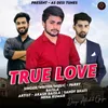 About True Love Song