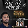 About Yeshu Tere Naamse Song