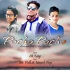 About Pocho Pocho Song