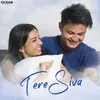 About Tere Siva Song