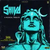 About Shiva Song