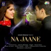 About Na Jaane Song