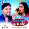 About Aaiha Hamro Gharwa Bhaiya Song