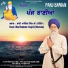 About Panj Banian Da Path Song