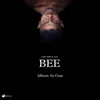 About Bee Song