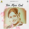 About Tere Mere Gal Song