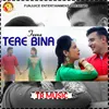 About Jeena Tere Bina Song