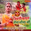 About Jindagi Pathar Hola Bholaji Song