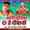 About Sari Duniya Hai Diwani Song