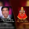 About Shyam Mere Ghanshyam Mere Song