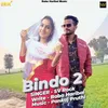 About Bindo 2 Song