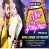 About Mere Shahjaan Song