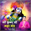 About Shree Krishan Ji Mahamantra Song