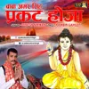 About Baba Amar Singh Prakat Hoja Song