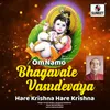 Om Namo Bhagavate Vasudevaya