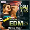 About Pp Ray Edm Beat 02, Bpm 115 Song