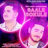 About Saale Sokule Song