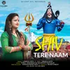 About Shiv Tere Naam Song