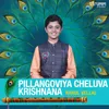 About Pillangoviya Cheluva Krishnana Song