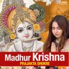 About Madhur Krishna Song