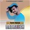 About Badmash Song