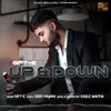 About Up & Down Song