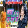 About Bhatar Se Pet Na Bhare Ho Song