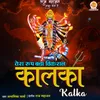 About Tera Roop Bada Vikral Song