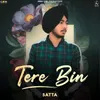 About Tere Bin Song