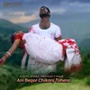 About Am Begor Chikanj Tahena Song