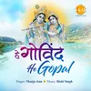 About Hey Govind Hey Gopal Song