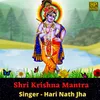 About Shri Krishna Mantra Song