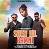 About Sher Dil Bamni Song