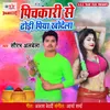 About Pichkari Se Dhodi Piya Khodela Song