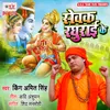 About Sewak Raghurai Ke Song