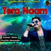 About Tere Naam Song