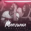 About Marijuana Song