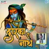 About Dwarka Ra Naath Song