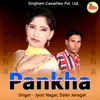 About Pankha Song