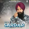 About Sardar Song