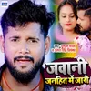 About Jawani Janhit Me Jaari Song