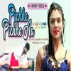 About Pichhe Pichhe Aa Song