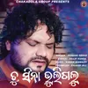 About Tu Sina Bhuligalu Song