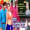 About Ameta Raipuria Pile Song