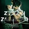 About Zindagi Zanjeero Me Song