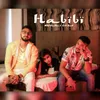 About Habibi Song