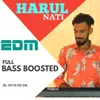 About Harul Nati Edm Song